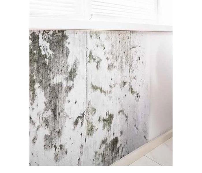 Mold on wall in home